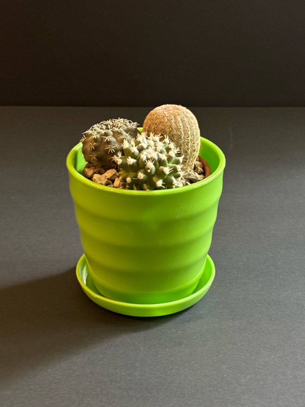 Vibrant Neon Green Plant Pot W/ Drainage & Saucer | Plastic Small Plant Pot